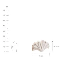 Deko-Objekt Blatt Höhe 21cm GINKGO In Creme -Einrichtungsserien Geschäft butlers deko objekt blatt hohe 21cm ginkgo in creme 3