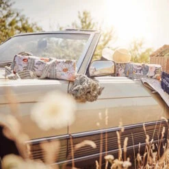 Picknickdecke L 175 X B 154cm BETWEEN FLOWERS In Creme -Einrichtungsserien Geschäft butlers picknickdecke l 175 x b 154cm between flowers in creme 11