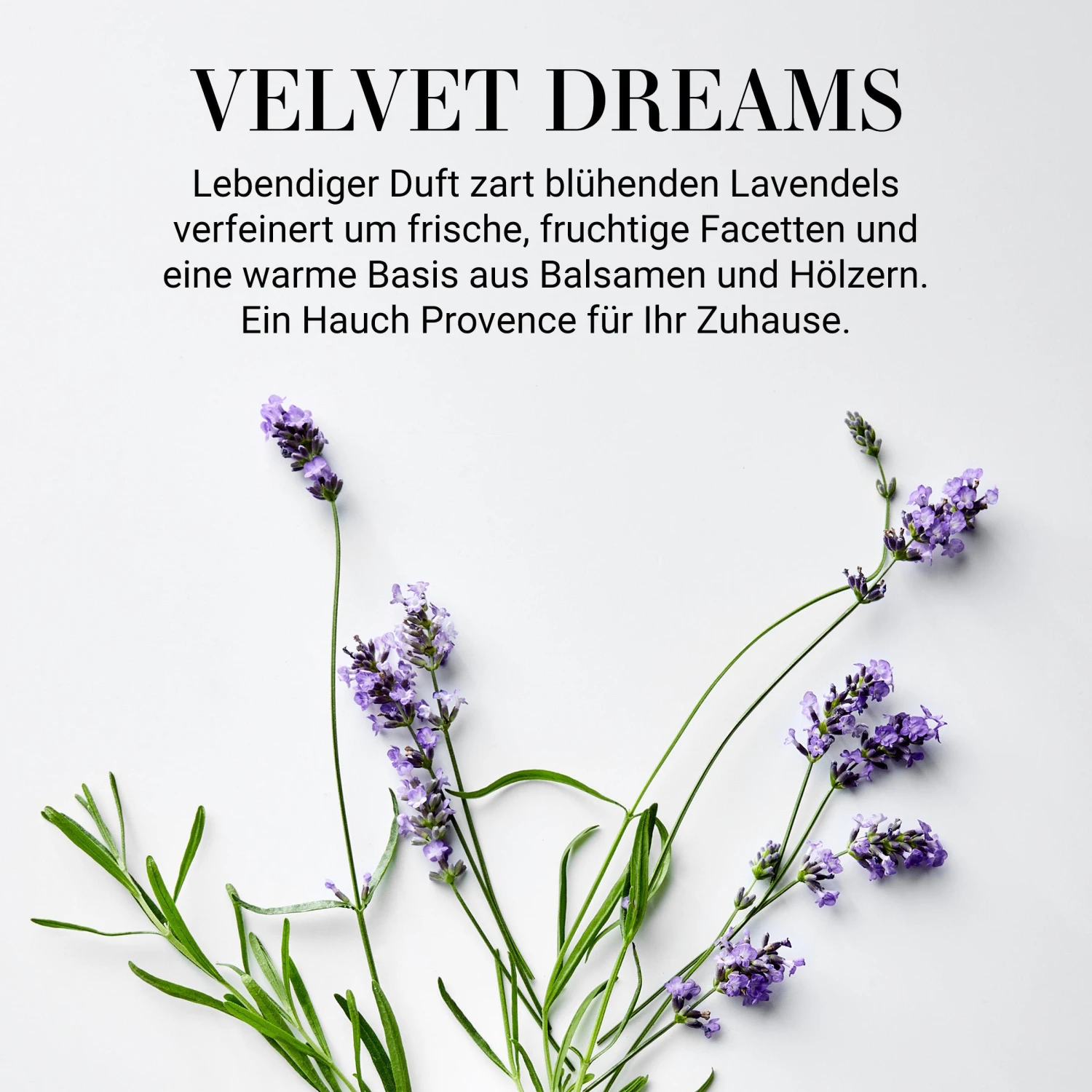 Raumduft No 3 "Velvet Dreams" 110ml HOME & SOUL in Transparent Raumduft No 3 "Velvet Dreams" 110ml HOME & SOUL In Transparent -Einrichtungsserien Geschäft butlers raumduft no 3 velvet dreams 110ml home and soul in transparent 1