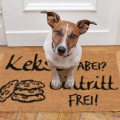 Fußmatte Kekse Dabei? Eintritt Frei! In Natur/Schwarz - 40 X 60 Cm -Einrichtungsserien Geschäft relaxdays fussmatte kekse dabei eintritt frei in natur schwarz 40 x 60 cm 4