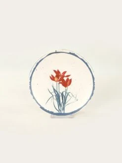 24tlg. Kombiservice In Creme/ Bunt -Einrichtungsserien Geschäft violeta home 24tlg kombiservice in creme bunt 5